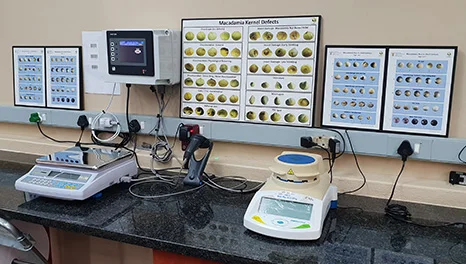 A quality-control bench with two scales, a touchscreen and macadamia kernel defect charts